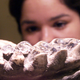 A mastodon jawbone from El Salvador.